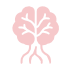 microcirculacion cerebral
